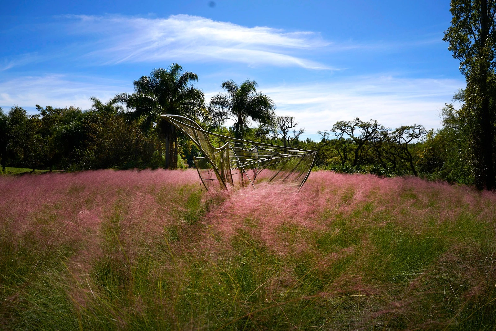 Una escultura entre gramíneas rosadas
