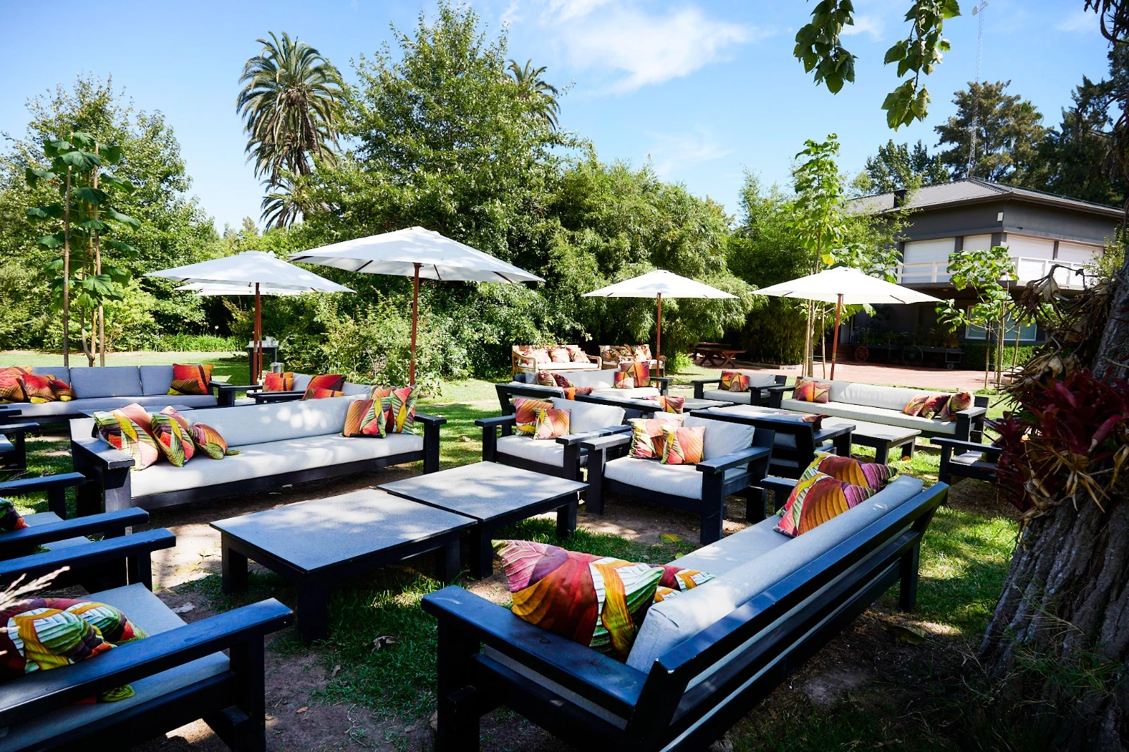 Livings y sombrillas para disfrutar al aire libre