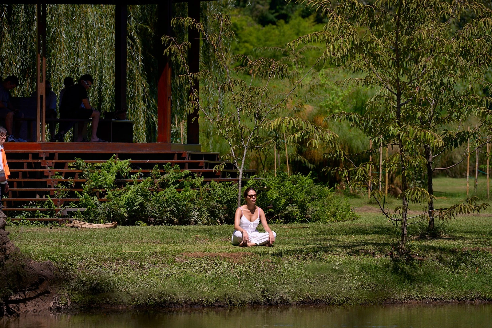 Una pausa entre árboles junto al agua
