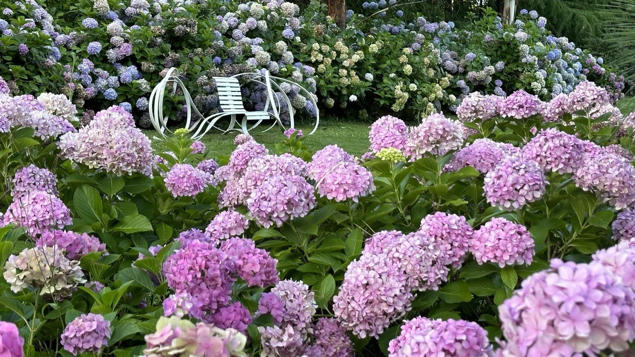 Jardines y floraciones de Isla El Descanso