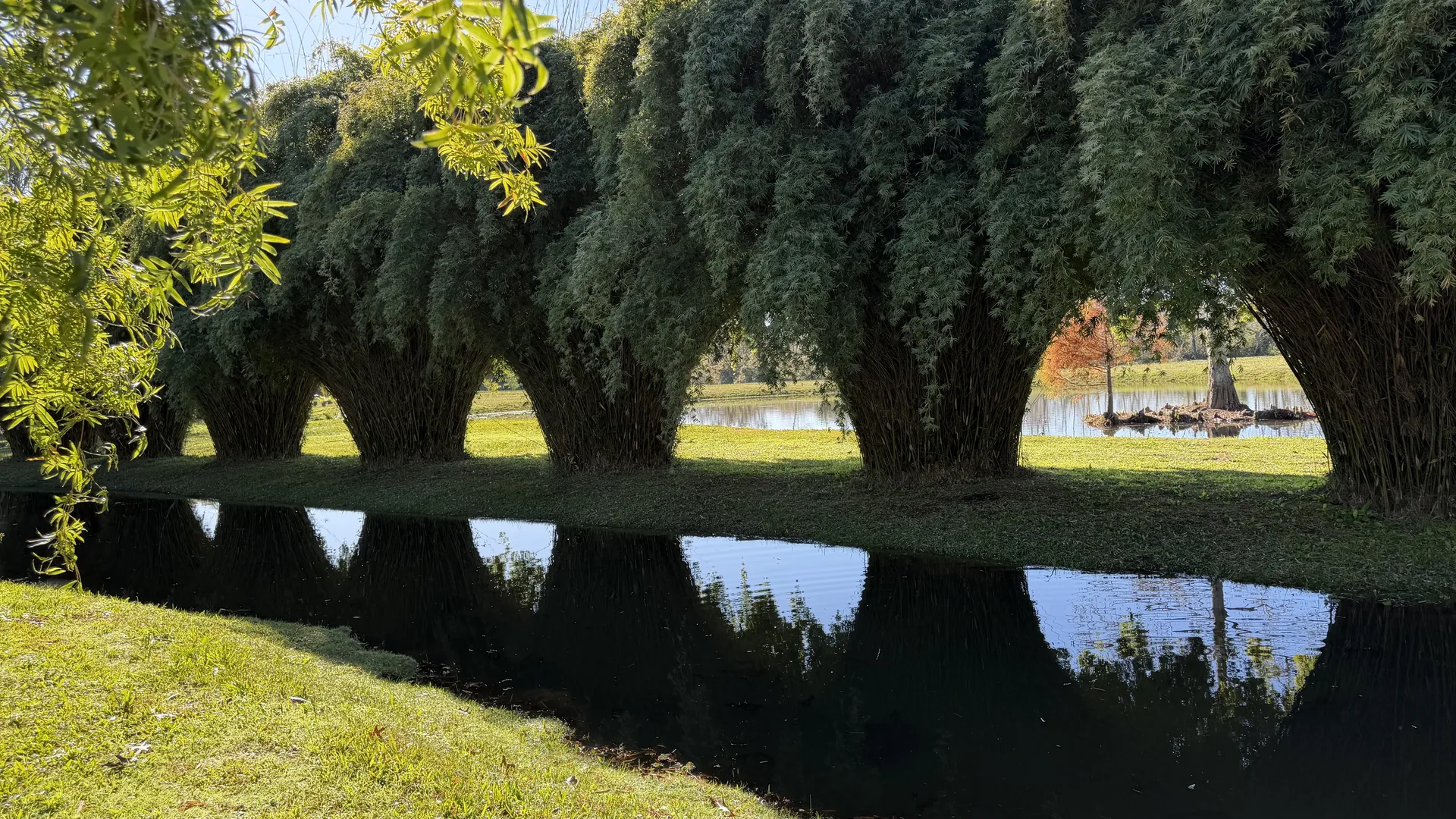 Jardín de los bambúes