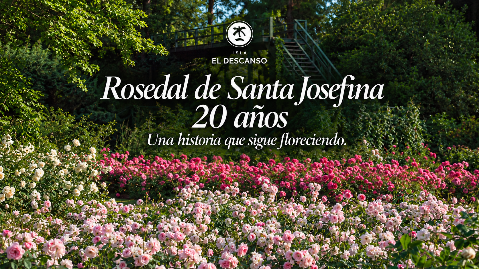 Rosedal de Santa Josefina, 20 años. Una historia que sigue floreciendo.